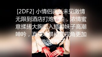 [2DF2] 小伙花两千块钱约的一个美女少妇 奶子真的很大[BT种子]