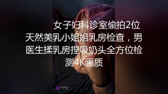 空少奶狗0开火车超爽中间的爽飞了前后都有人伺候