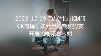 网红美女欣怡新年贺岁片❤️姐夫与小姨子野外车震超级刺激无套内射_