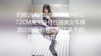 极品00后美女嫩模【奶瓶】推特反差自拍福利~盛世美颜配诱惑花蝴蝶纹身很屌的样子