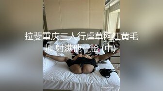 [高清中文字幕] SNIS-279在電車上被痴漢侵犯上癮的巨乳女大學生夢乃愛華