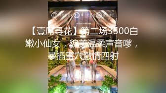 【壹屌寻花】第二场3500白嫩小仙女，貌美温柔声音嗲，暴插蜜穴激情四射