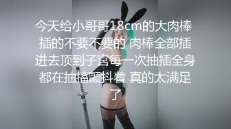 【国产版】[TMBC028] 斑斑 恶心哥哥偷我的内裤 天美传媒