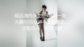  极品清纯少女，3000一炮，大圈00后女神，坚挺美乳，沙发后入，高潮迭起