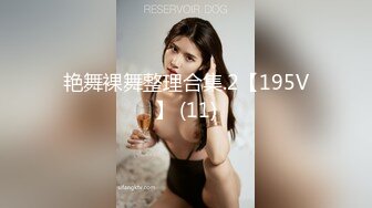 艳舞裸舞整理合集.2【195V】 (11)