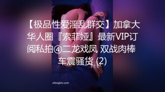 人妻少妇控必备，粉丝专属91淫荡夫妻【盘丝大仙】VIP福利，各种紫薇啪啪呻吟声好听，对话超级淫荡