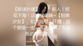 顺从的失禁见习女仆 只要主人希望小南愿意成为顺从的宠物