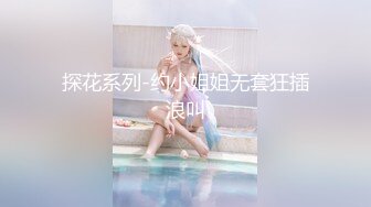 探花系列-约小姐姐无套狂插浪叫