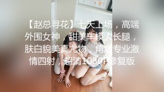 【唯美性爱❤️印象摄影】高价约拍00后清纯班花❤️无套闯红灯啪啪口爆 穿制服啪啪 完美露脸 侧面广角 高清720P原版