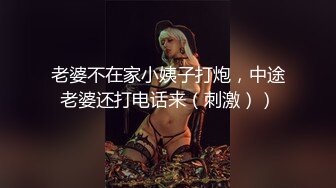 老婆不在家小姨子打炮，中途老婆还打电话来（刺激））