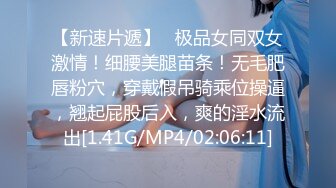 长年爱した妻も、勤め上げてきた会社も…、 全てを舍てた俺はW不伦に溺れて 一色桃子