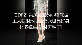 【国产版】[JD-146]超级电脑工具人 第二集 精东影业