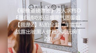 《硬核重磅泄密》万人求档OF黑白通吃极品媚黑气质御姐【我是Z】私拍全套，车震野战露出被黑人健壮小哥玩肏 (23)