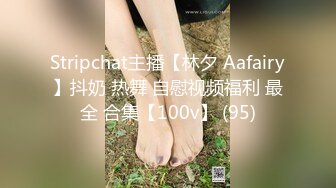 Stripchat主播【林夕 Aafairy】抖奶 热舞 自慰视频福利 最全 合集【100v】 (95)