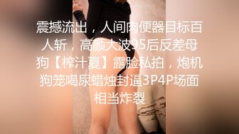 极品大奶美乳系列-高颜值超大胸器 大奶如牛  【274V】 (23)