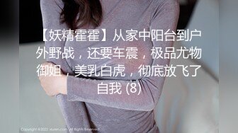 【妖精霍霍】从家中阳台到户外野战，还要车震，极品尤物御姐，美乳白虎，彻底放飞了自我 (8)