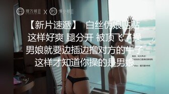 狗奴玩户外艺术拍摄