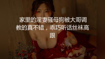 【新片速遞】 十二月最新流出 ❤厕所偷拍❤️跟着女友上厕所，变态男对着女厕撒尿 