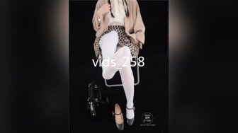 vids_258