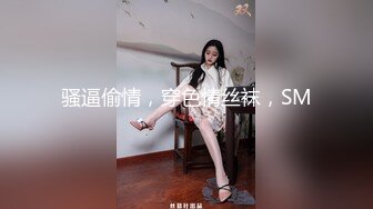 優雅氣質尤物禦姐女神 百褶裙性感小白領趁午休時間偷情，時間太極衣服來不及脫直接