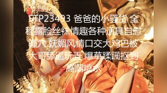 STP24713 圆圆脸甜美小姐姐，坐在身上有点羞涩，掏出JB一顿吸骚起来，边口边说骚话，骑乘猛操大屁股 VIP2209