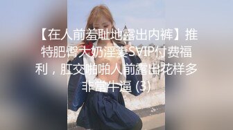 【在人前羞耻地露出内裤】推特肥臀大奶淫妻SVIP付费福利，肛交啪啪人前露出花样多非常牛逼 (3)