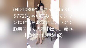 FC2PPV 4538531 再び、、、再降臨、、、逸材降臨。Ｈカップ、、、国宝のオッパイ、、神乳、、完璧なスタイル、、２０才、逸材現る、、、外で、コンテナ横で、駅前の駐車場で歩行者いるのにカーセ [有]