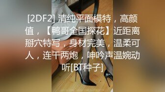  红灯区找女技师特殊服务，极品风骚御姐，很会调情骚话多，抓着大屌吸吮，撩起裙子69姿势