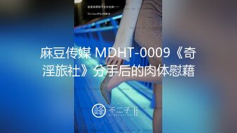 麻豆传媒 MDHT-0009《奇淫旅社》分手后的肉体慰藉