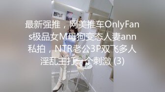 最新强推，网美推车OnlyFans极品女M母狗变态人妻ann私拍，NTR老公3P双飞多人淫乱主打一个刺激 (3)