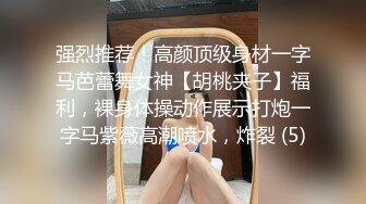 圈中甜美小妖Ts董宣彤：黑丝豹纹美妖。干死我，啊啊啊嗯嗯嗯，我要射了，射得好多啊。被哥哥狂干菊花、狂撸仙女棒，超爽！