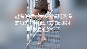 母狗老婆的骚逼2