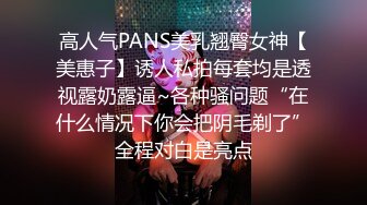 高人气PANS美乳翘臀女神【美惠子】诱人私拍每套均是透视露奶露逼~各种骚问题“在什么情况下你会把阴毛剃了”全程对白是亮点