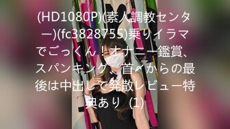 [MIDE-840] 超高級Gcup即ハメご奉仕メイド 葵いぶき