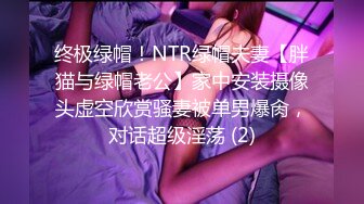 终极绿帽！NTR绿帽夫妻【胖猫与绿帽老公】家中安装摄像头虚空欣赏骚妻被单男爆肏，对话超级淫荡 (2)